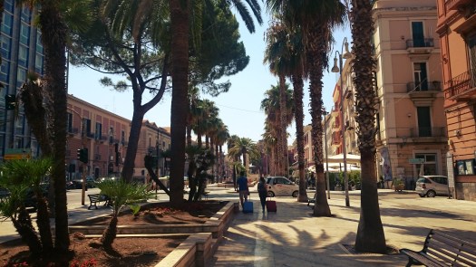palmy na promenadzie w Bari