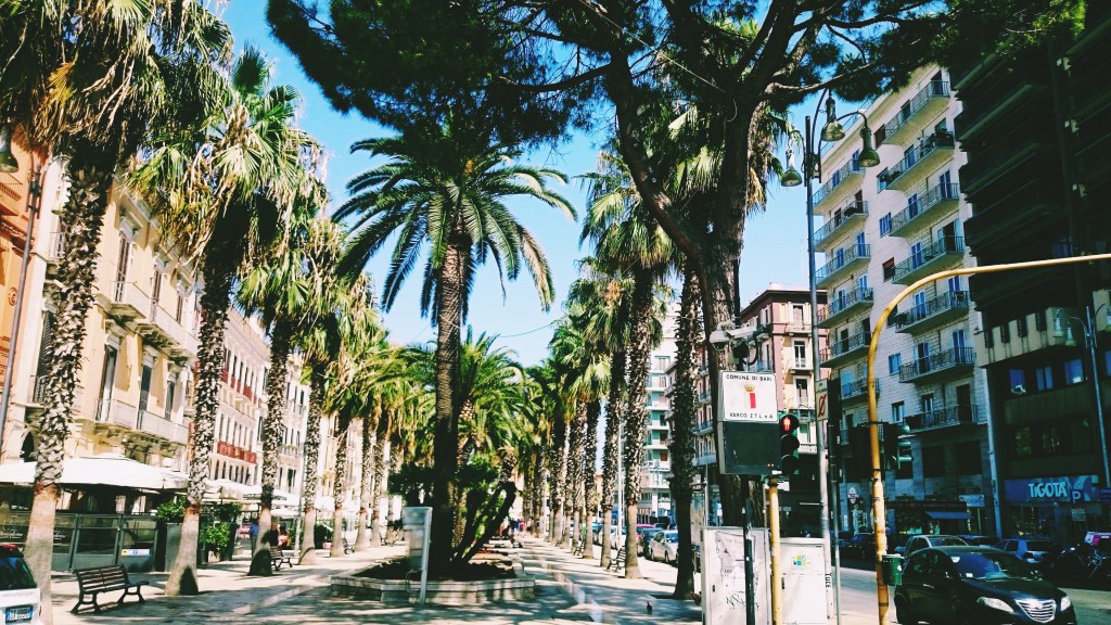 palmy na ulicy w Bari