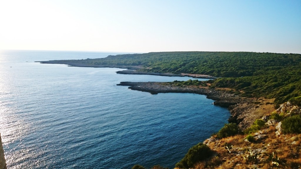 widok z lotu ptaka na morze