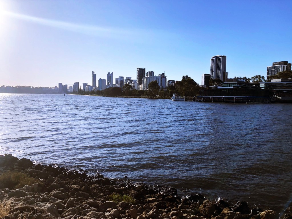 rzeka łabędzia w Perth