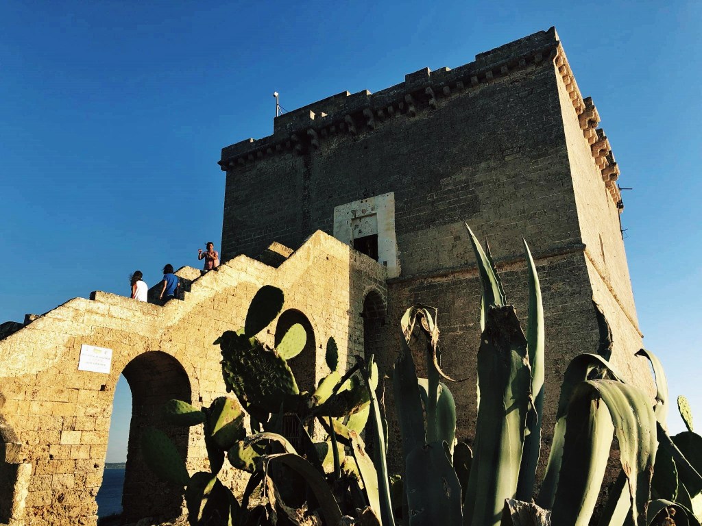 wieża we Włoszech porośnięta kaktusami